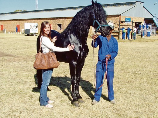 Daar is elke jaar pragtige perde. Carlie Foord bewonder hierdie mooi hings.