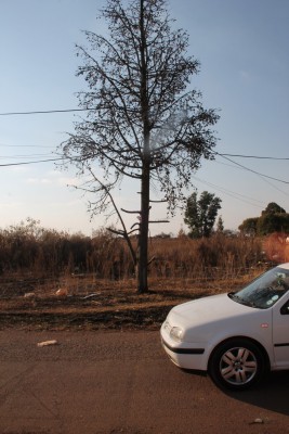 Since August 2013 when Blyvoor Mine was placed under provisional liquidation, conditions at the mine has gone from bad to worse. These photos were taken during a visit to some buildings stripped by illegal miners and metal thieves last year August.
