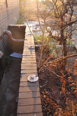 Since August 2013 when Blyvoor Mine was placed under provisional liquidation, conditions at the mine has gone from bad to worse. These photos were taken during a visit to some buildings stripped by illegal miners and metal thieves last year August.