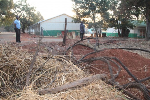 Since August 2013 when Blyvoor Mine was placed under provisional liquidation, conditions at the mine has gone from bad to worse. These photos were taken during a visit to some buildings stripped by illegal miners and metal thieves last year August.