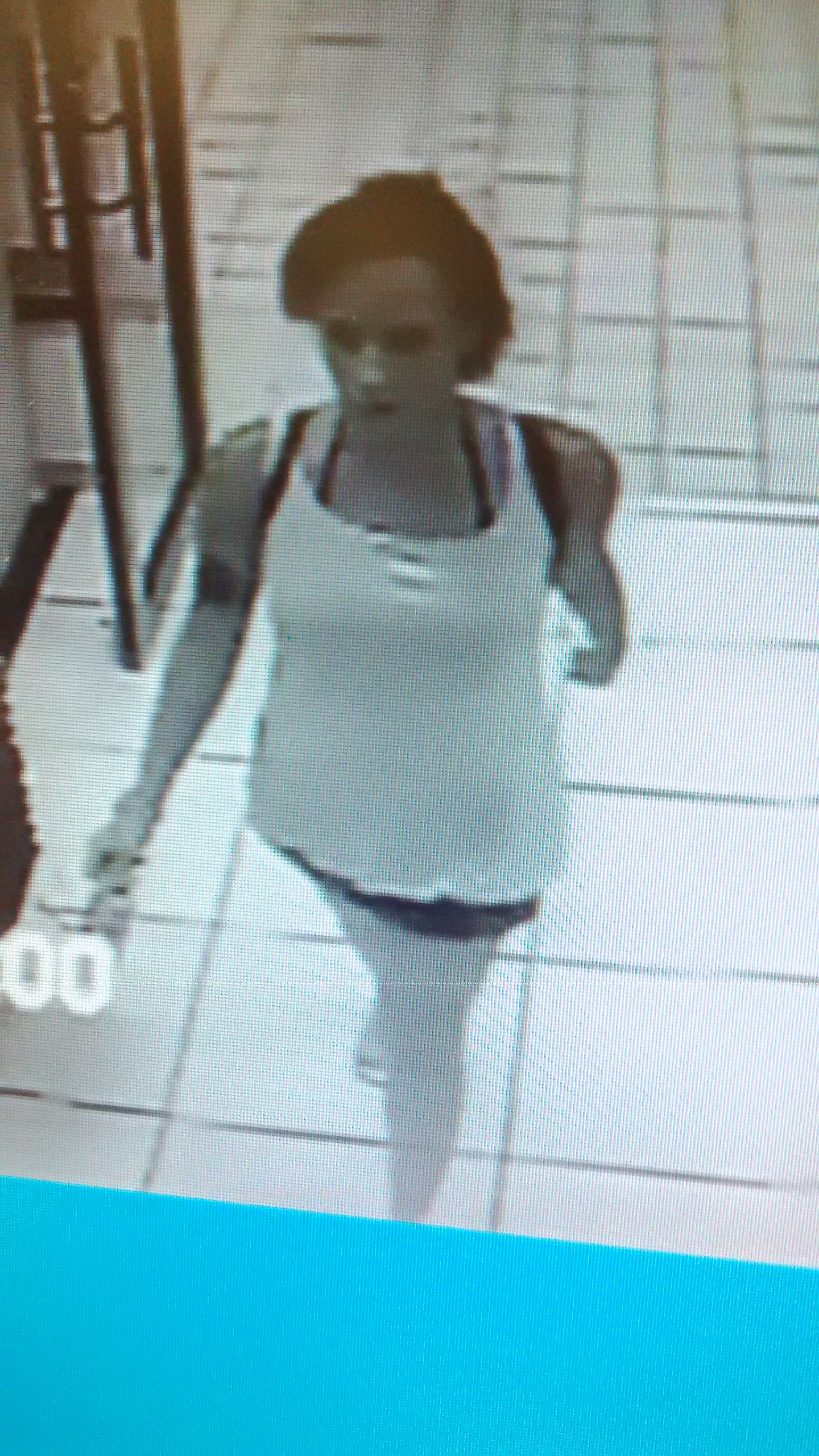 ‘n Video van die verdagte voëldief is tydens die diefstal deur 'n sekuriteitskamera geneem.