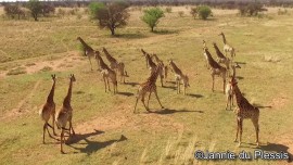 Inyala Game Lodge, Jannie du Plessis, Anske Wiersma, Photography, Wild Life Photography,