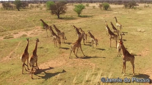 Inyala Game Lodge, Jannie du Plessis, Anske Wiersma, Photography, Wild Life Photography,