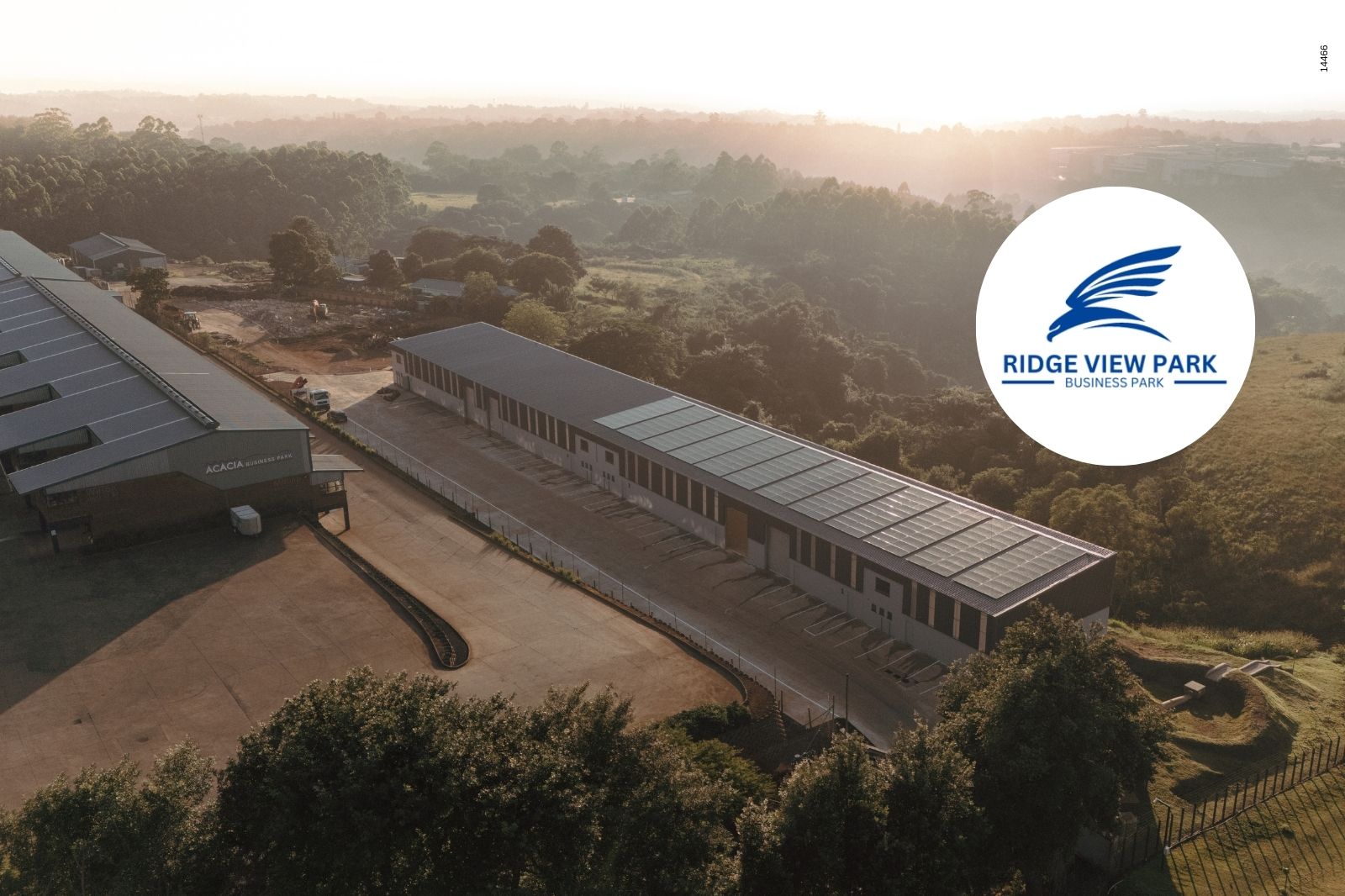 Manhunt under way for suspected Kruger poachers