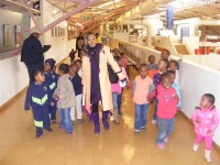 The children from the Oases Day Care Centre in Germiston visited the African Museum to learn about their country, in Johannesburg, recently. Tosca Ebe (centre), one of the guardians at the day care centre, walks the three to five year old children around the museum.
