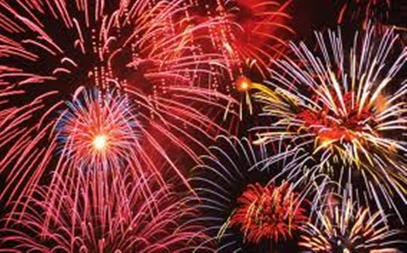 Firework displays scare animals.